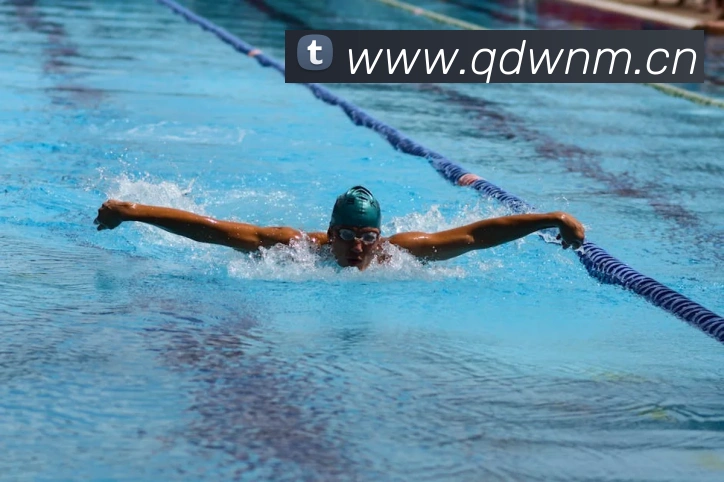 多媒体互动体验